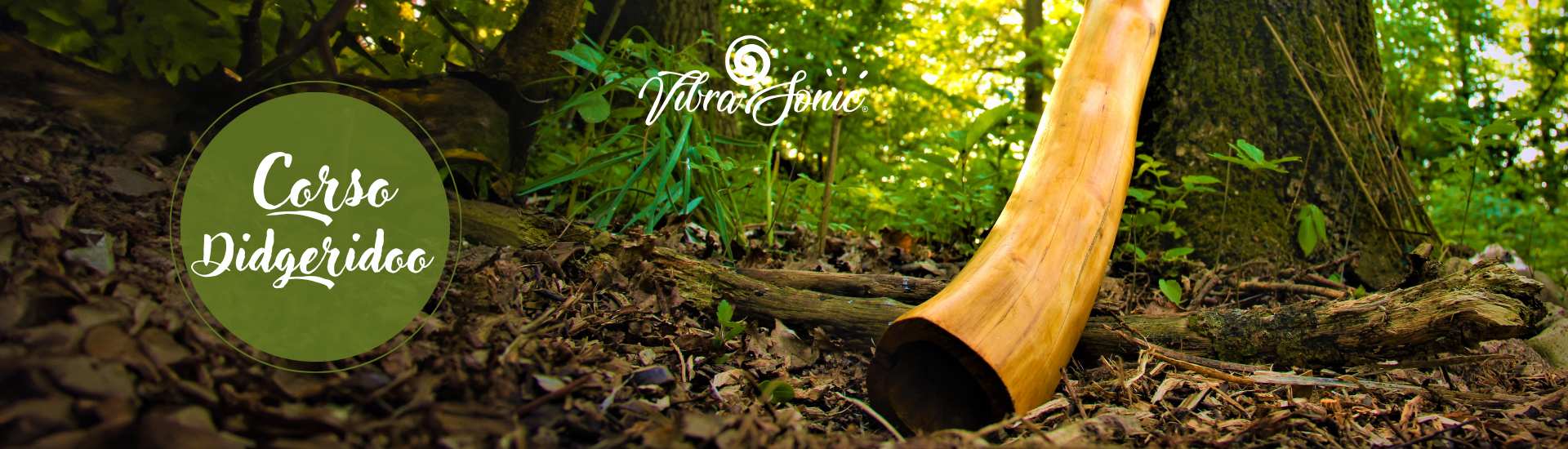 Workshop Didgeridoo